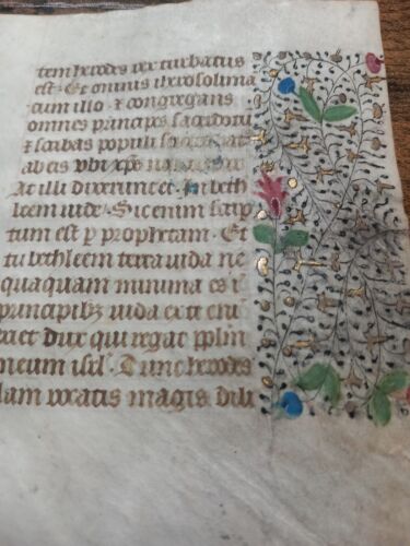 RARE ORIG VELLUM LEAF FLORAL BORDERS WITH GOLD MANUSCRIPT LATIN ABOUT 1490 AD - Picture 3 of 4