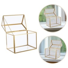 Mini Serre En Verre Affichage De La Plante À Table Terrarium Mousse