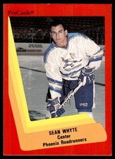 1990-91 ProCards Sean Whyte Phoenix Roadrunners #346