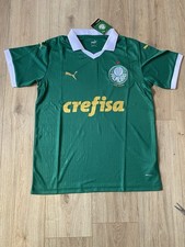 Palmeiras 2024 Fan Version Jersey Men's 