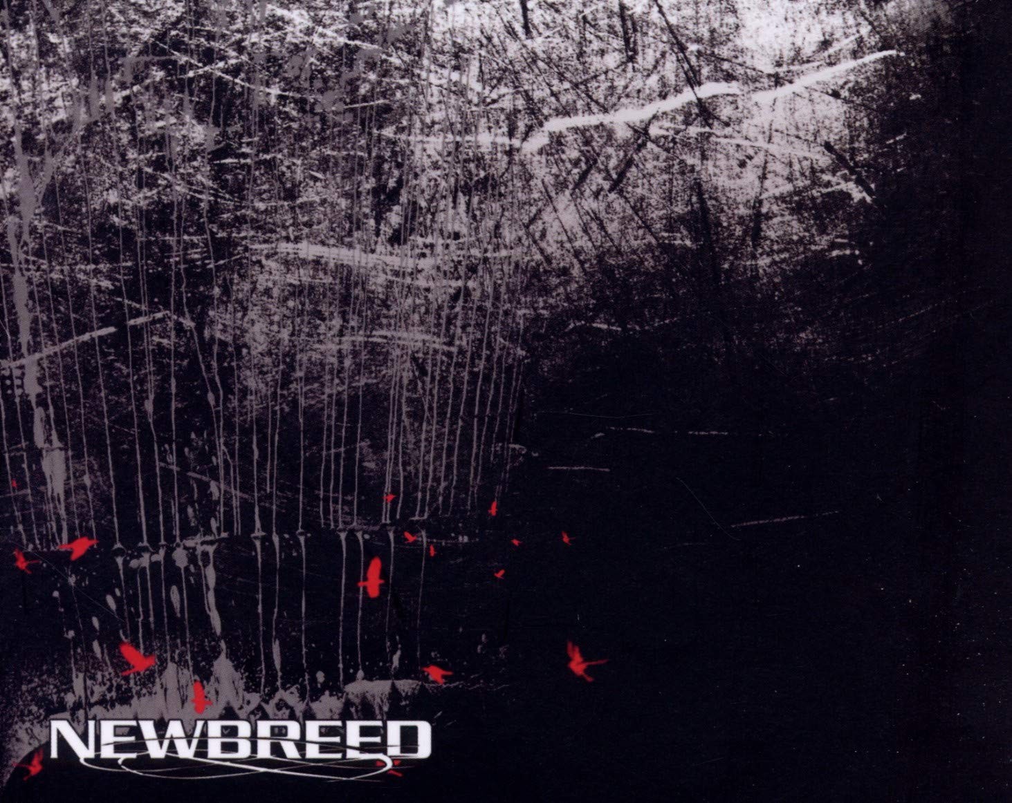 New Breed Newbreed (CD)