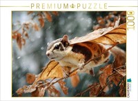 "Calvendo Puzzle A Motif From The Calendar \"Wind Travelers\" | 1000 Pieces, Finish"