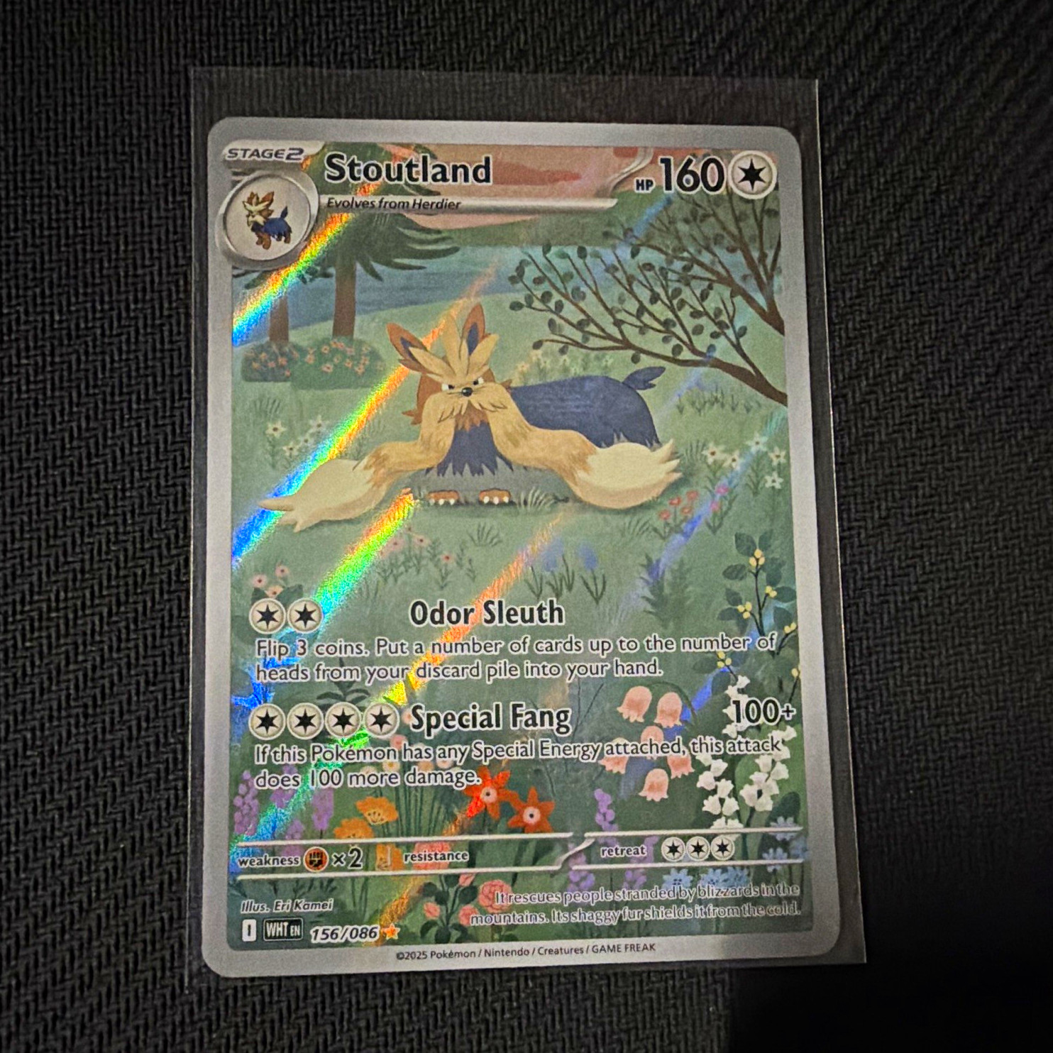 ~holo~ Stoutland 156/086 SV: White Flare Illustration Rare ENG 2025 160 HP