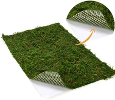 BYHER Dried Moss Mat for Wedding Birthday Party Green - 14" X 9" 
