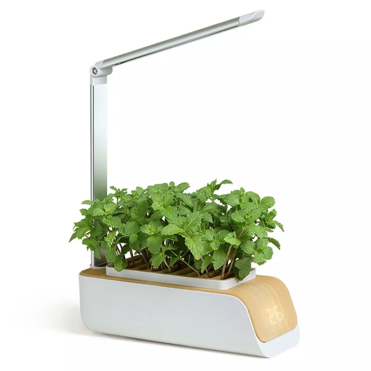 Light for 2024 indoor herb garden