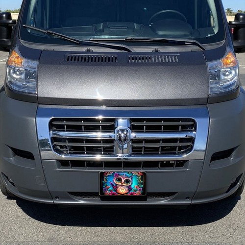 Cute Owl Faux Stained Glass License Plate #LP-AN-OW003 - Zdjęcie 2 z 4