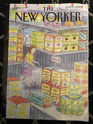 New Yorker Magazine June 19 2023  Fireworks  Megastore  Chast, Dowry,Immigration