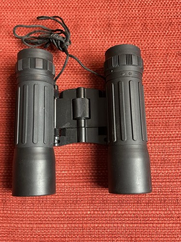 Bushnell Powerview Binoculars 10x25 Model 13-2516 With Case Box And Manual - Picture 8 of 18