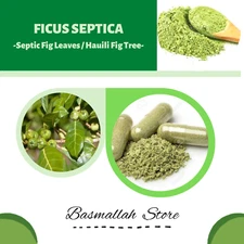 CAPSULES   Septic Fig Leaves Hauili Fig Tree Ficus Septica Organic Natural
