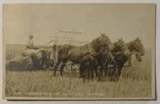 Farmer Horses Harvesting In Western Canada Agriculture RPPC Postcard