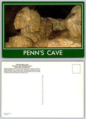 Penn's Cave Nittany Lion Cavern Postcard Centre Hall Pennsylvania PA