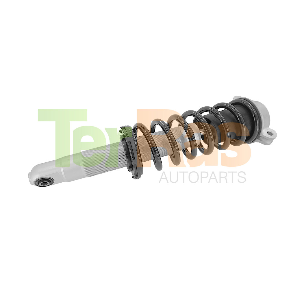 2x Rear L&R Coil Shock Struts Assys Fit Ferrari California F149 2008-2014 275920