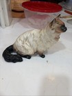 Vintage Jsl Japan Himalayan Siamese Cat Statue Dated 1967 — photo 6