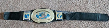 2010 Mattel WWE Intercontinental Champion Championship Replica Kids Belt Toy