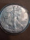 2013 American Silver Eagle, encapsulated BU (GV0036)