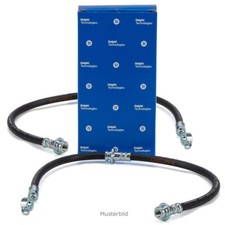 2x DELPHI Bremsschlauch für SMART FORTWO CITY-COUPE 450 451 hinten 0004163V001
