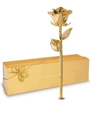 24K Gold Dipped Real Rose   Handmade, Long-Lasting Preserved Flower in Gold G...