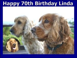 cocker spaniel birthday cake