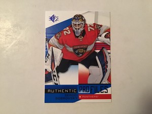 hockey authentic ebay