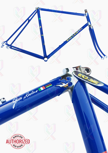RAULER RECLUS GOZZI Telaio Su Misura Bicicletta Acciaio Bike Cycle Steel |  eBay