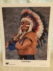 jb468197 private WWE Tatanka  Promo Photo P-180 Original WWF Vintage 1994