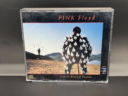 Pink Floyd : Delicate Sound of Thunder CD 2 discs (1988) Clean Discs - Picture 1 of 6