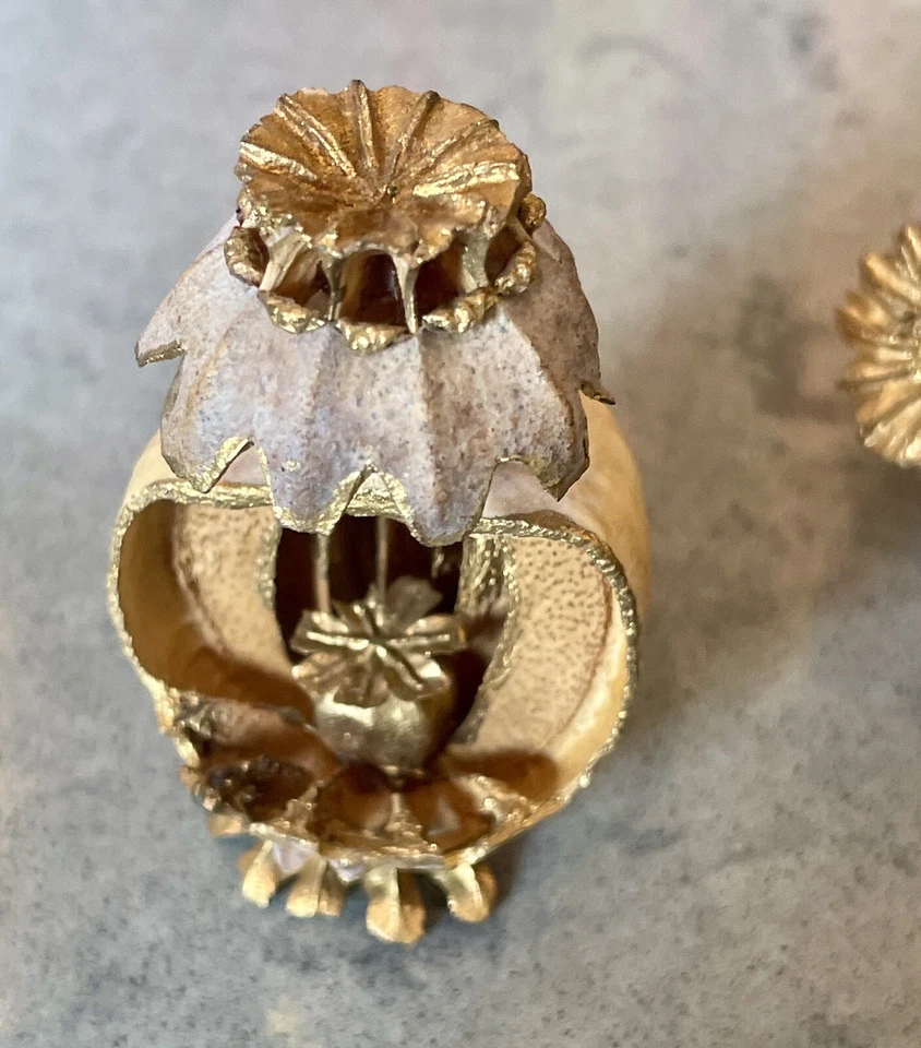 6 Unique Hand Carved Real Natural Dried Ornaments Poppy - Image 2 of 4