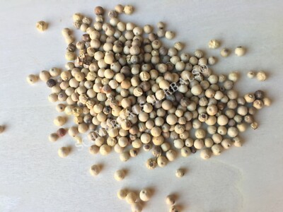 Peppercorn, Piper nigrum, White ~ Schmerbals Herbals