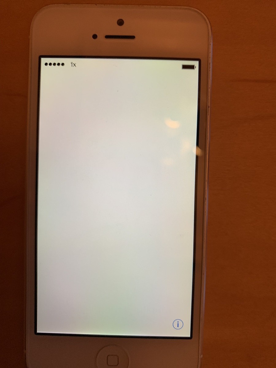 Iphone 5c White Screen