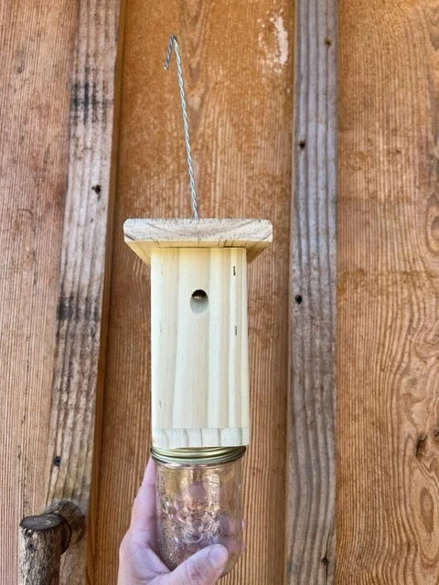 Best Carpenter Bee Trap - Patented Carpenter Bee Trap - Set of 6  Free Shipping - Image 3 of 4