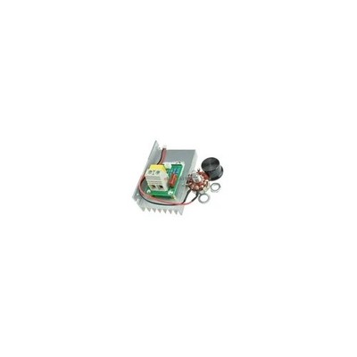 10000W AC 220V SCR Voltage Regulator Motor Speed Controller Dimmer Thermostat #f