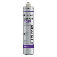 Everpure Ev961716-75 Quick Connect Filter, 1....