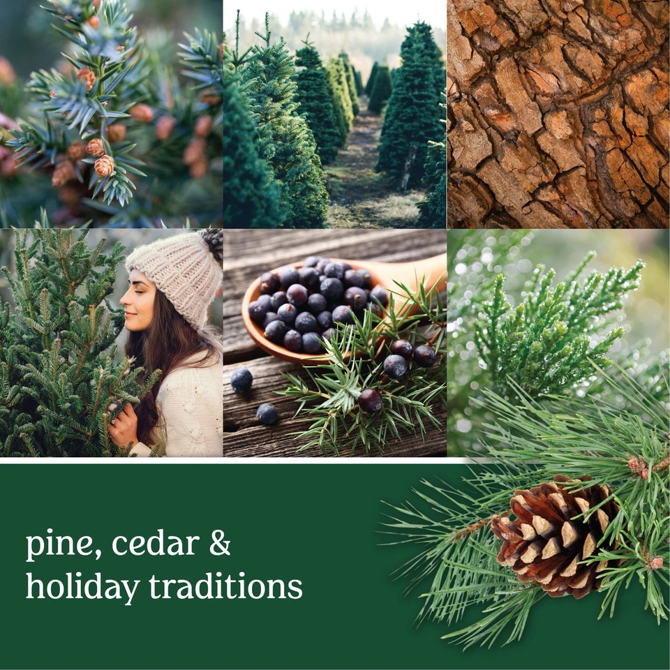 Yankee Candle Smart Car Vent Clip Air Freshener 30 days, Balsam & Cedar, 2 Pack - Image 2 of 2