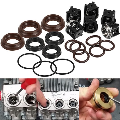 AR1828 Pump Check Valves Kit + AR1857 Pressure Washer Packing Kit for