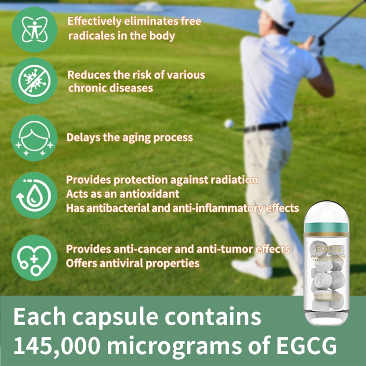 6bottles/Box Green Tea Extract 99.74% EGCG Antioxidant-Rich、Immune-Supporting