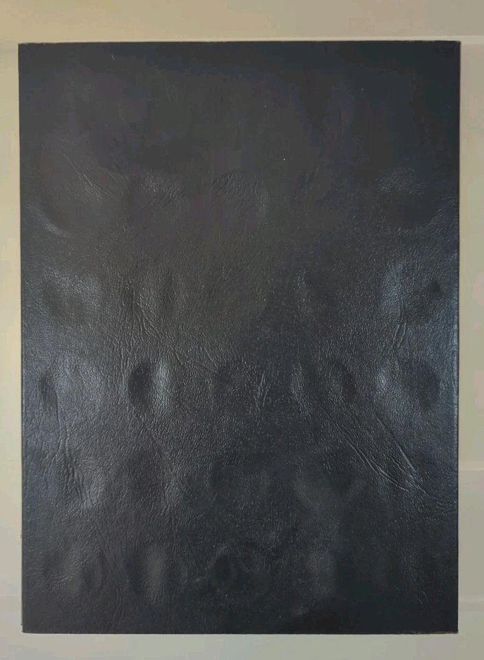 Whitman Fifty State Commemorative Quarter Folder Deluxe Edition 1999–2008 –... - Image 4 of 4