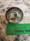 Antique GLASS Domed Horse Bridle Rosettes Made Into Screw Knobs (3) — photo 2