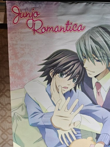 Junjo Romantica - Large 32"x43" Wall Art Cloth Scroll - Picture 6 of 10