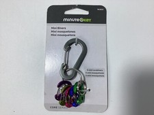 Hillman minute key 5 mini carabiner keychain