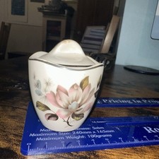 Midwinter Stylecraft Staffordshire  and mustard pot
