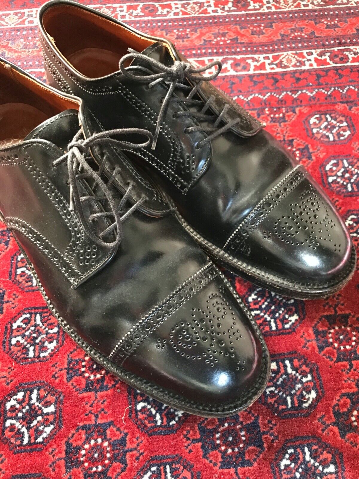 Alden D6507 Black Shell Cordovan Medallion Tip Blucher