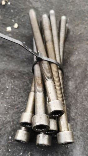 Volkswagen Golf Mk5 1.9 Tdi 105 Zylinderkopfschrauben X10