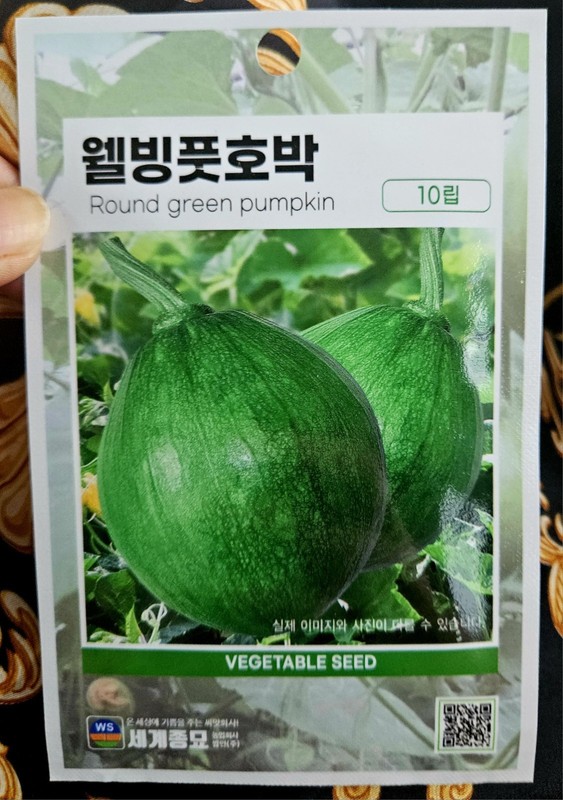 Korean Summer Pumpkin/Squash [Put Hobak] (풋호박) Seeds (10 Seed Count)