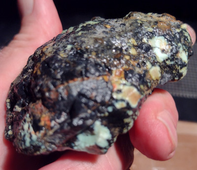 Rare old stock Nevada Variscite Lot 30 THERE'S A FROG IN THERE! Carver's delight