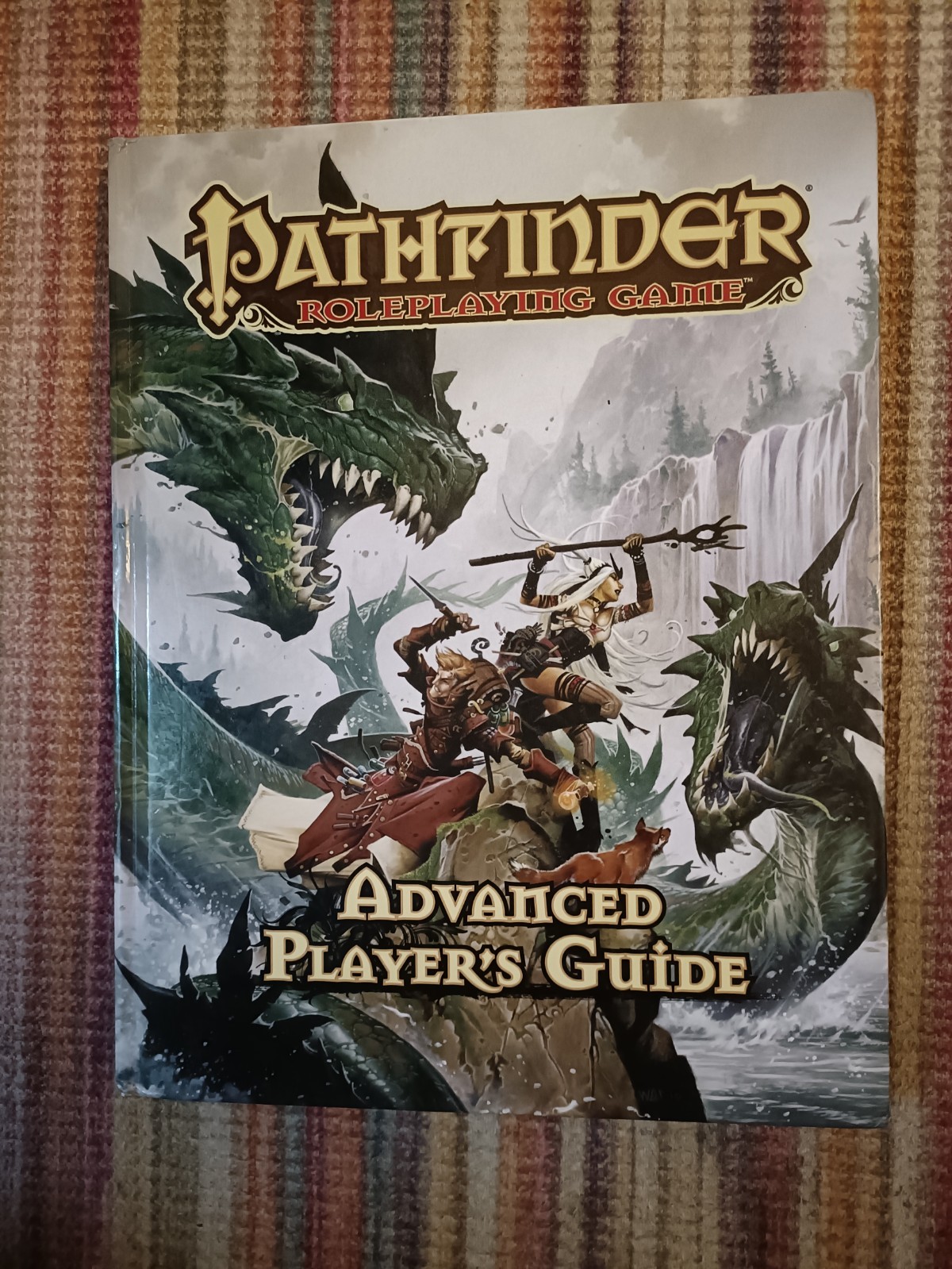 PATHFINDER ROLEPLAYING GAME ADVANCED PLAYER'S GUIDE Hardback DnD  TTRPG