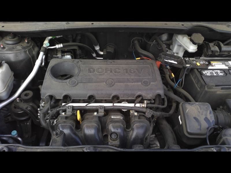 Picture 10 of 10