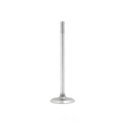 Engine Intake Valve-VIN: G, SOHC, 24 Valves DNJ IV143