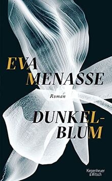 Dunkelblum: Roman von Menasse, Eva | Buch | Zustand gut