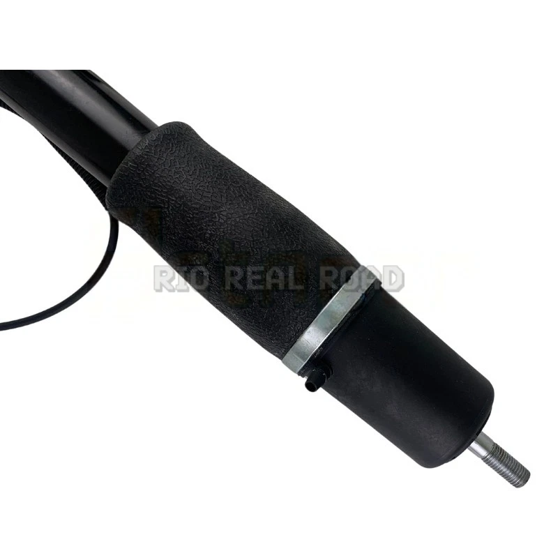 Par de amortiguadores de aire traseros L+R 22064727 para Cadillac Deville Eldorado 97-02 Foto 4 de 4