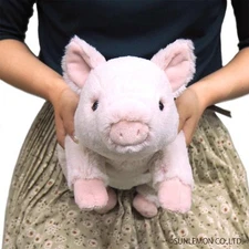 Sun Lemon Lap-Sized Fluffy Pig Plush Doll S Size 40cm Knee Series Japan